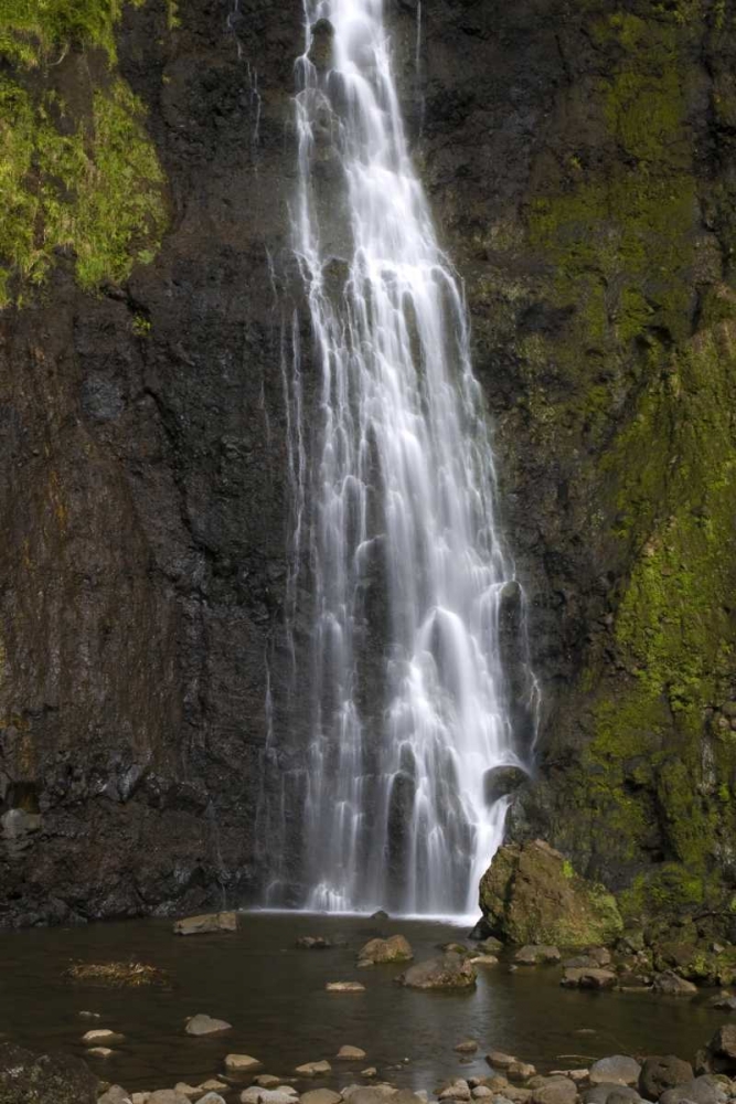 French Polynesia, Tahiti Waterfall ove cliff art print by Wendy Kaveney for $57.95 CAD