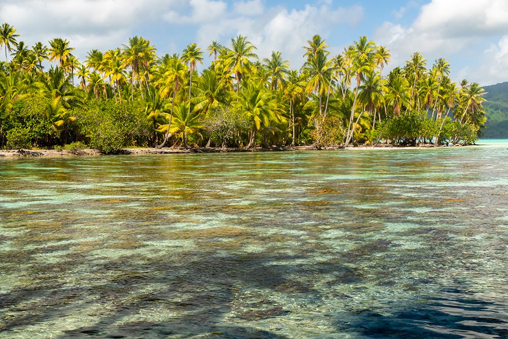 French Polynesia- Tahaa. Ocean corals and tropical forest. art print by Jaynes Gallery for $57.95 CAD
