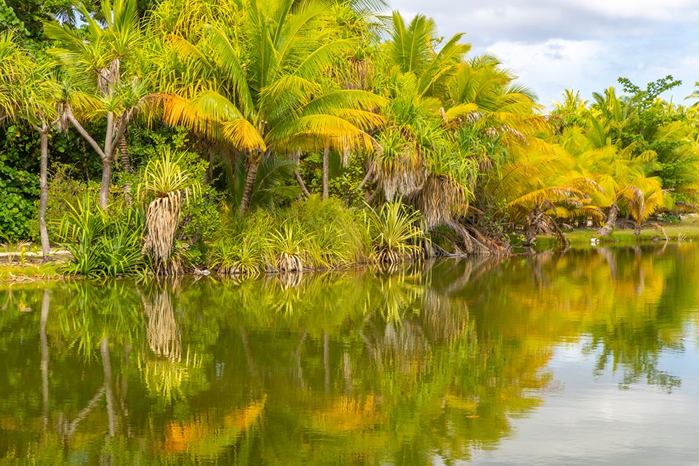 French Polynesia- Tahaa. Tropical lagoon and jungle. art print by Jaynes Gallery for $57.95 CAD