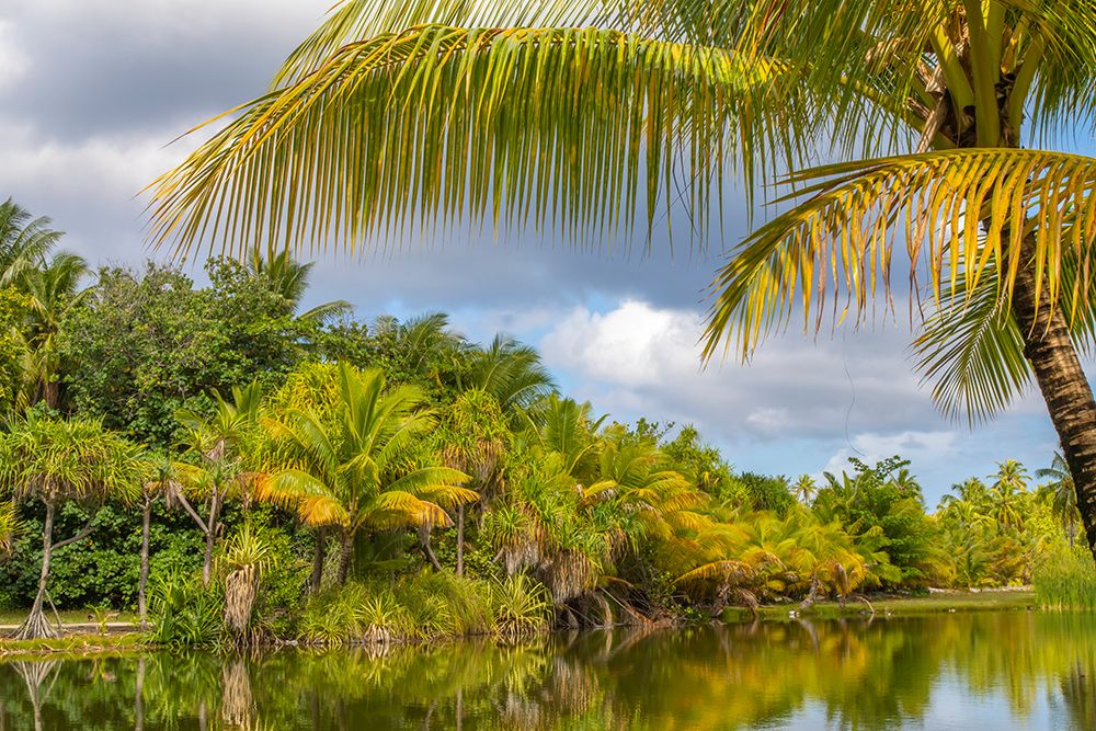 French Polynesia- Tahaa. Tropical lagoon and jungle. art print by Jaynes Gallery for $57.95 CAD
