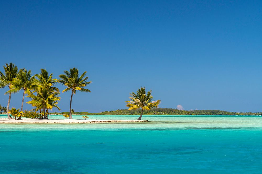 French Polynesia- Bora Bora. Motu Tane private island in lagoon. art print by Jaynes Gallery for $57.95 CAD