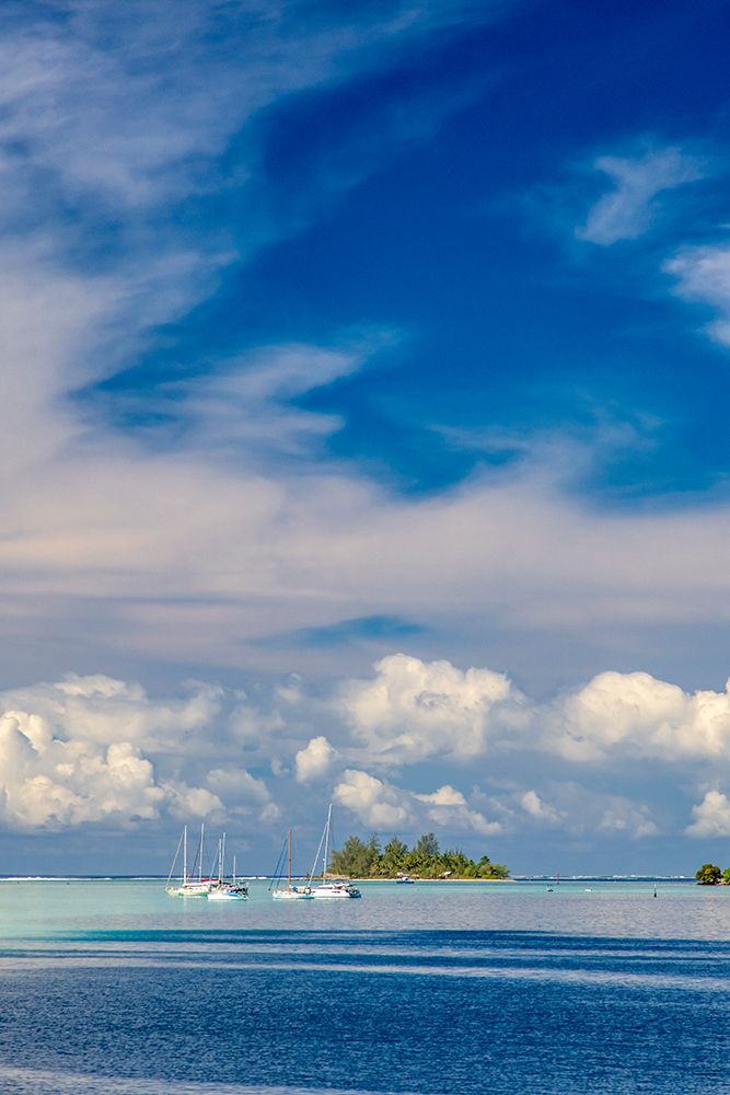 French Polynesia- Moorea. Moored boats and small island. art print by Jaynes Gallery for $57.95 CAD
