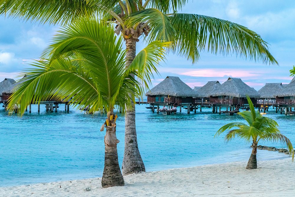 French Polynesia- Moorea. Overwater bungalows art print by Jaynes Gallery for $57.95 CAD