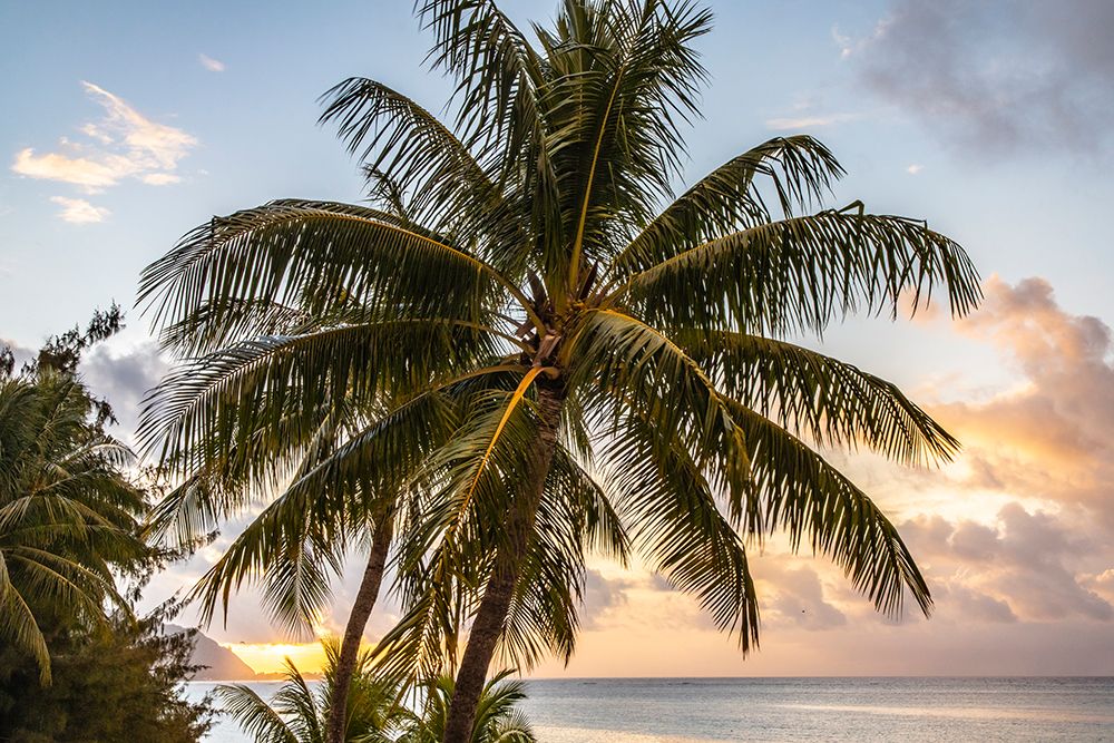 French Polynesia- Moorea. Sunset on island and ocean. art print by Jaynes Gallery for $57.95 CAD
