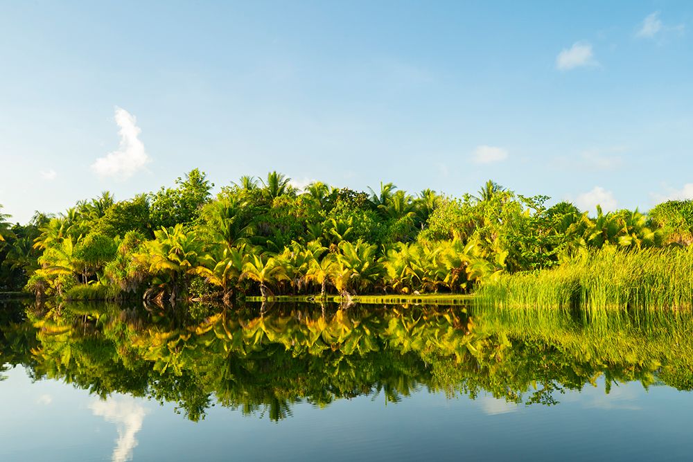 French Polynesia- Tahaa. Tropical jungle reflects in lagoon. art print by Jaynes Gallery for $57.95 CAD