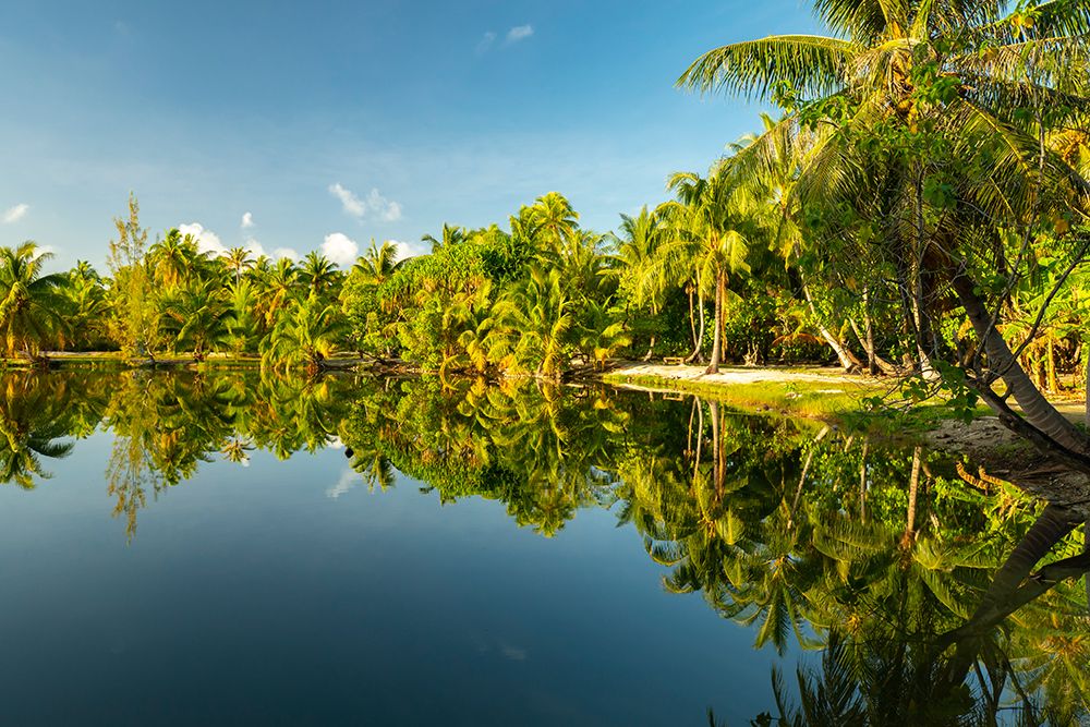 French Polynesia- Tahaa. Tropical jungle reflects in lagoon. art print by Jaynes Gallery for $57.95 CAD