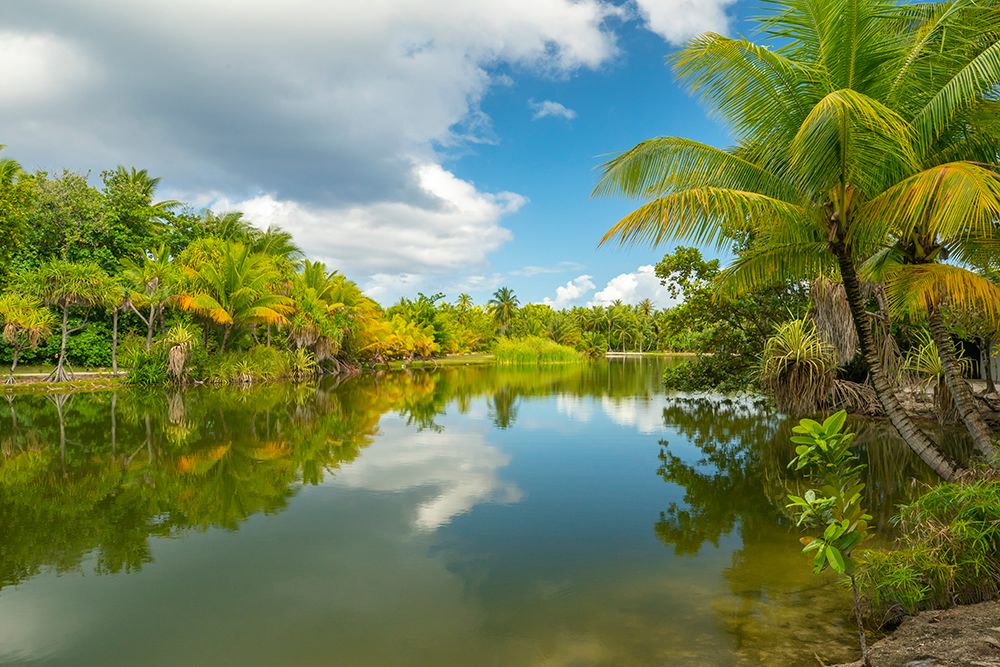 French Polynesia- Tahaa. Tropical jungle reflects in lagoon. art print by Jaynes Gallery for $57.95 CAD