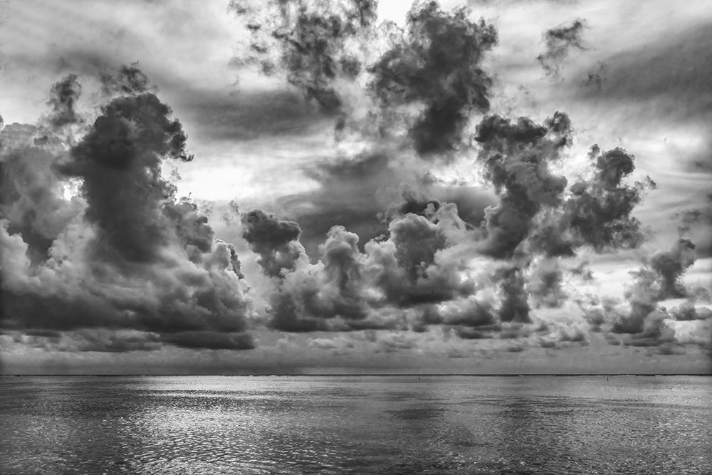 Outer reef-Moorea-Tahiti-French Polynesia. art print by William Perry for $57.95 CAD