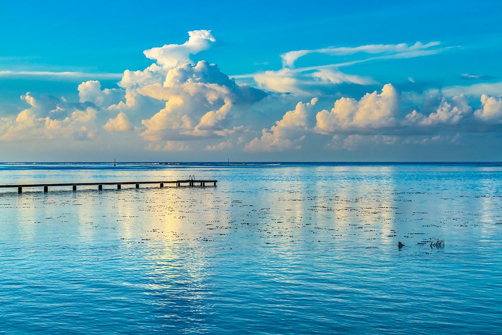 Rain storm reflection-Moorea-Tahiti-French Polynesia. Blue colors in lagoon and coral reefs art print by William Perry for $57.95 CAD
