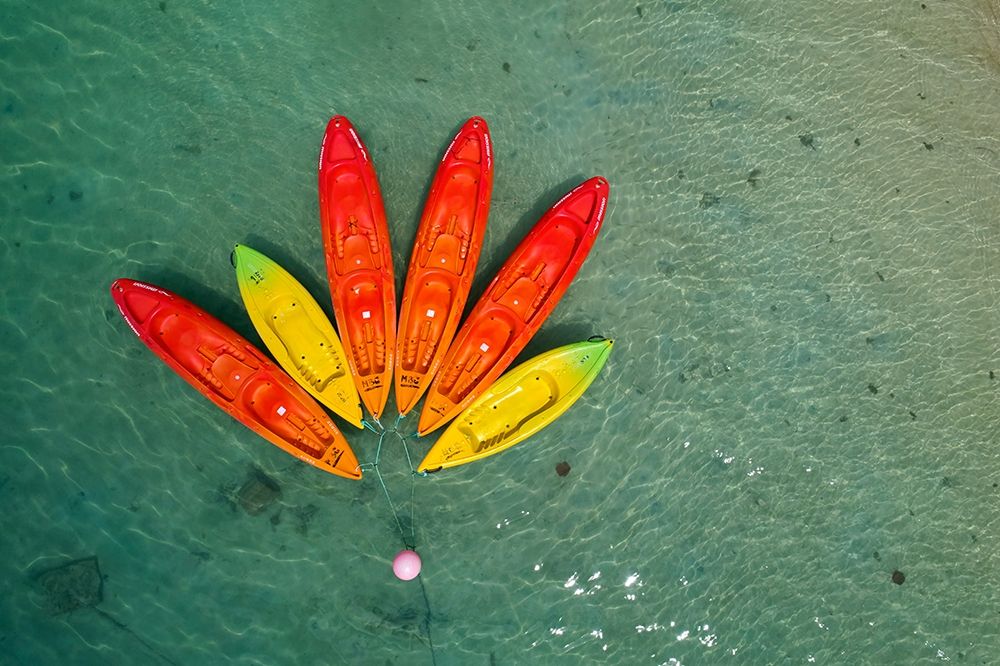 Kayaks-Muri Lagoon-Rarotonga-Cook Islands-South Pacific art print by David Wall for $57.95 CAD