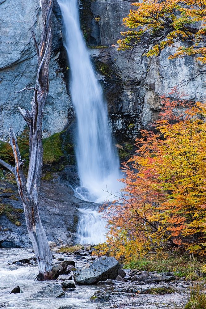 Argentina-Patagonia-waterfall-Chorrillo del Salto art print by George Theodore for $57.95 CAD