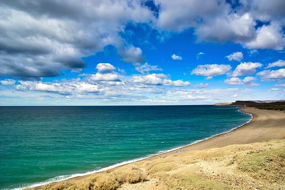 Argentina-Santa Cruz Monte Leon National Park-the only coastal park in Argentina art print by Michele Molinari for $57.95 CAD