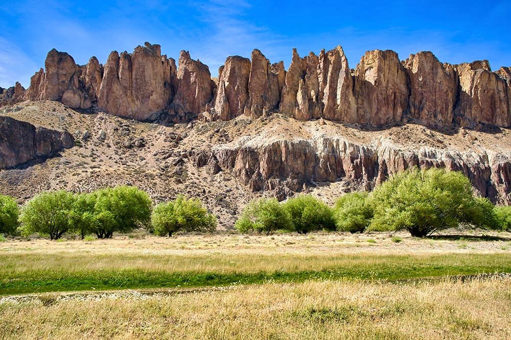 Argentina-Santa Cruz-Valle del Rio Pinturas art print by Michele Molinari for $57.95 CAD