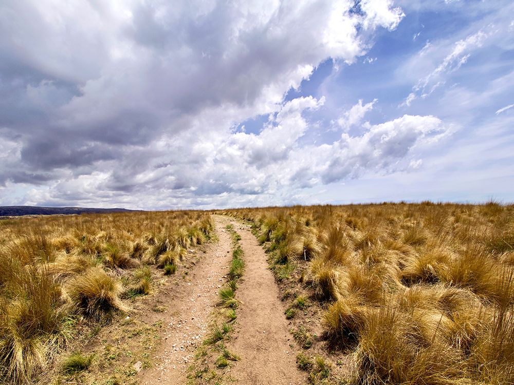 Argentina, Cordoba Province. Quebrada del Condorito National Park. art print by Michele Molinari for $57.95 CAD