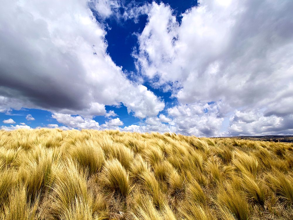Argentina, Cordoba Province. Quebrada del Condorito National Park. art print by Michele Molinari for $57.95 CAD