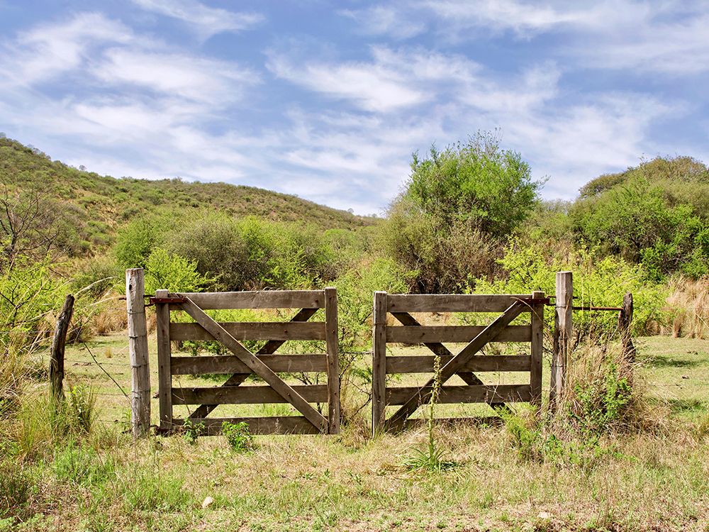 Argentina, Cordoba Province. Fence in the countryside. art print by Michele Molinari for $57.95 CAD