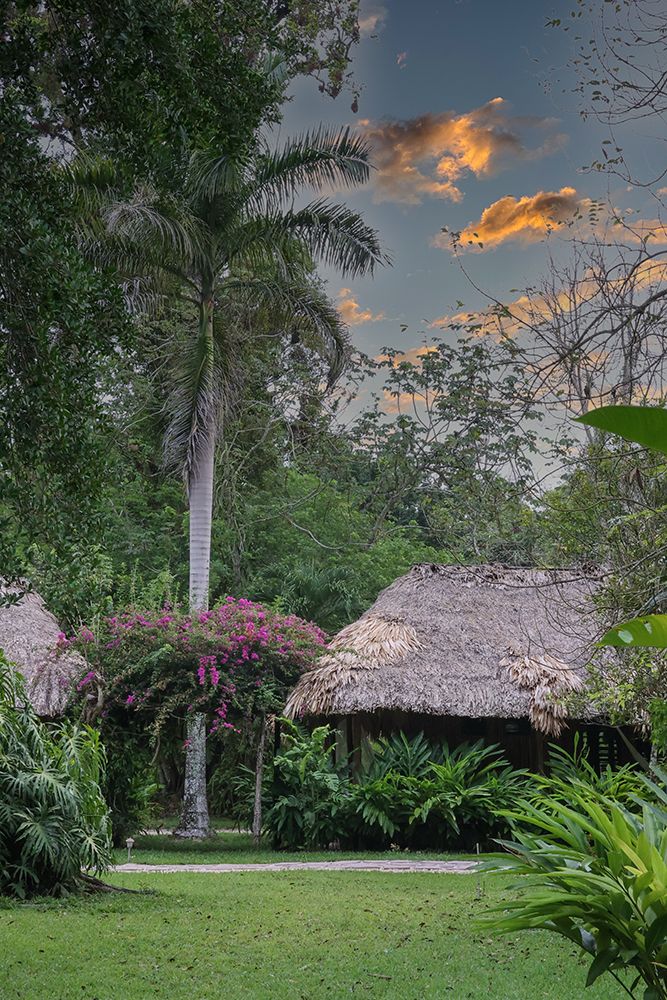 Belize-Central America-Chan Chich Ecolodge in the Western Belize Jungle art print by Tom Norring for $57.95 CAD