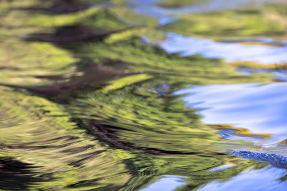 Water reflections behind small boat in the Pantanal region, Mato Grosso, Brazil, South America art print by Adam Jones for $57.95 CAD