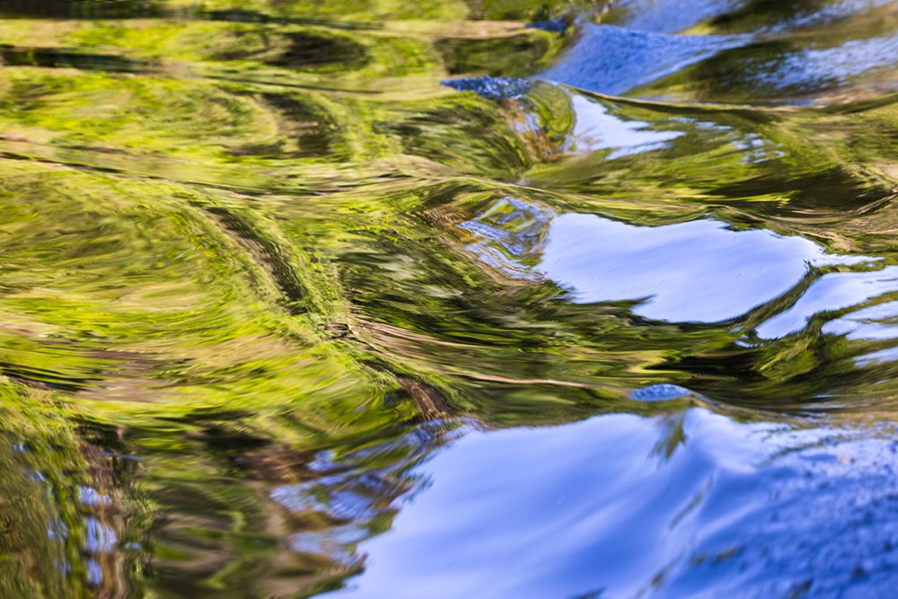Water reflections behind small boat in the Pantanal region, Mato Grosso, Brazil, South America art print by Adam Jones for $57.95 CAD