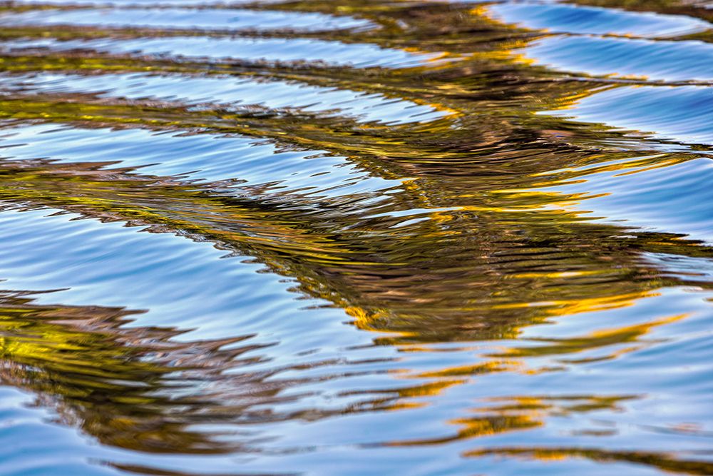 Water reflections behind small boat in the Pantanal region, Mato Grosso, Brazil, South America art print by Adam Jones for $57.95 CAD