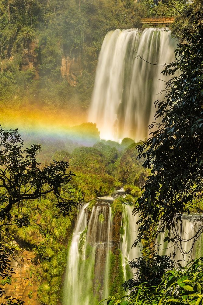 Brazil-Iguazu Falls Landscape of waterfalls art print by Jaynes Gallery for $57.95 CAD
