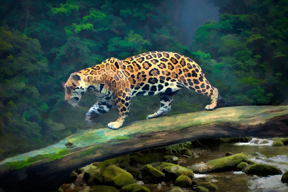 Brazil-Pantanal Abstract of jaguar walking on log art print by Jaynes Gallery for $57.95 CAD
