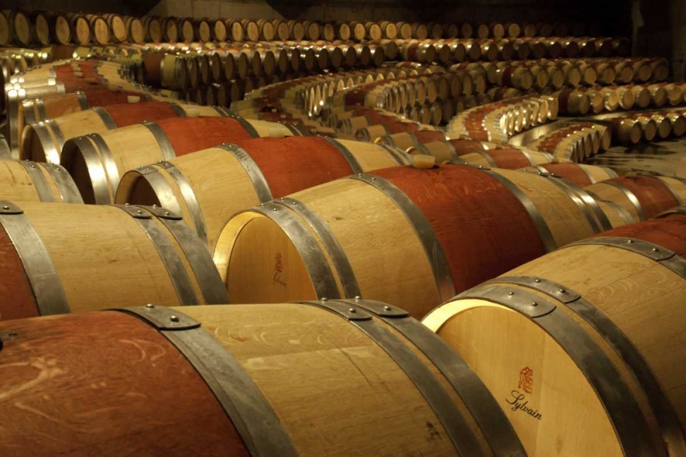 Chile, Colchagua Wine barrels in the cellar art print by Wendy Kaveney for $57.95 CAD