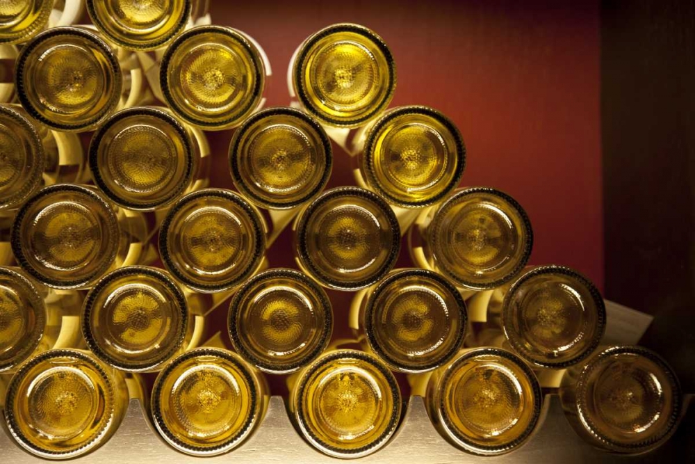 Chile, Casablanca Valley Wine bottle bottom art print by Wendy Kaveney for $57.95 CAD