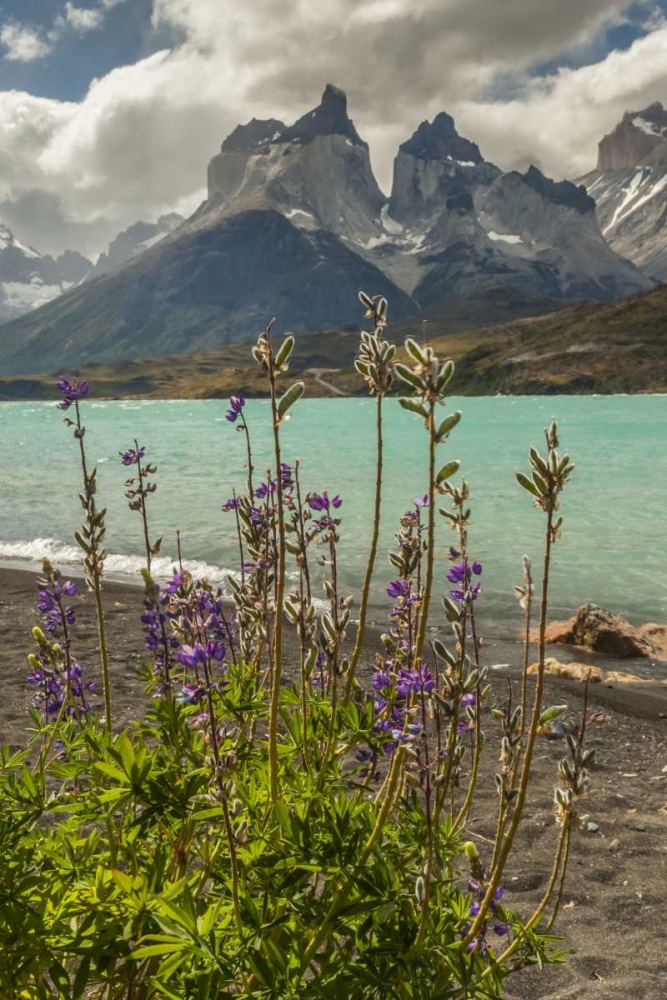 Chile, Patagonia The Horns Mts and Lago Pehoe art print by Cathy and Gordon Illg for $57.95 CAD
