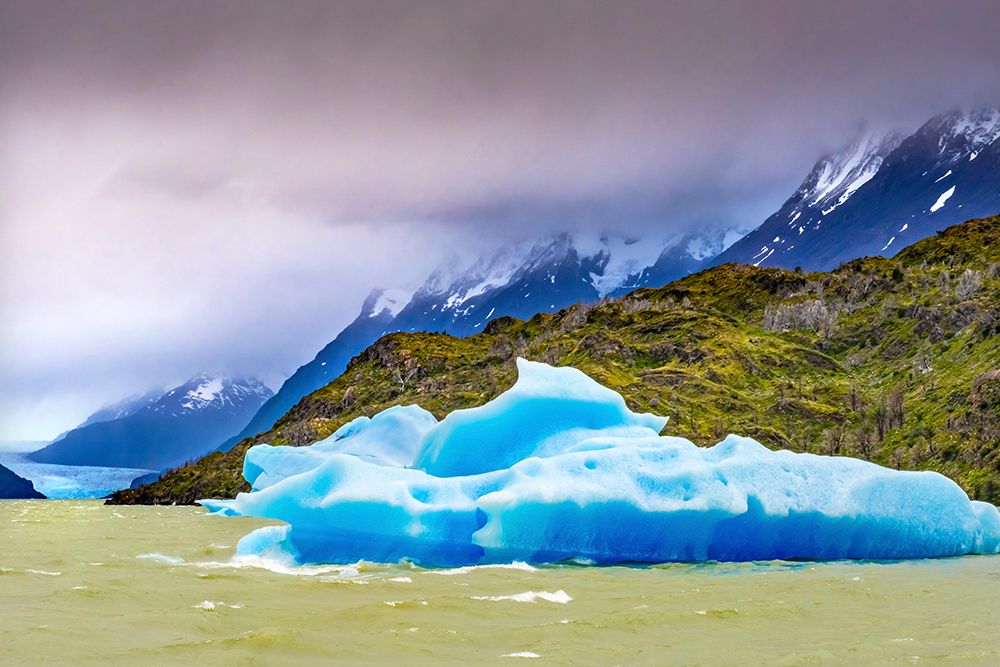 Blue Iceberg Grey Lake-Torres del Paine National Park-Patagonia-Chile-Iceberg is from Grey Glacier art print by William Perry for $57.95 CAD
