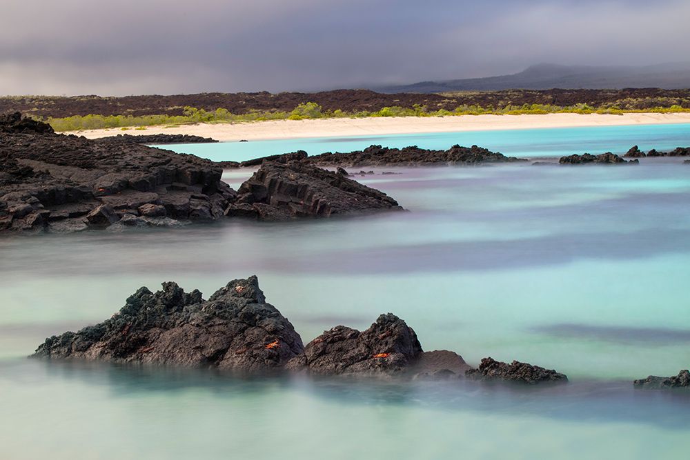 Lava rocks along tranquil shoreline of San Cristobal Island-Galapagos-Ecuador art print by Adam Jones for $57.95 CAD