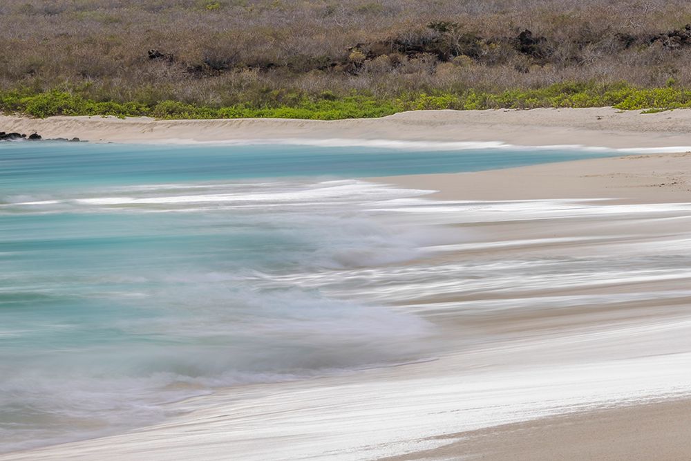 Surf pattern washing up on white sandy beach-Espanola Island-Galapagos Islands-Ecuador art print by Adam Jones for $57.95 CAD
