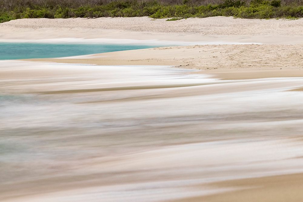 Surf pattern washing up on white sandy beach-Espanola Island-Galapagos Islands-Ecuador art print by Adam Jones for $57.95 CAD