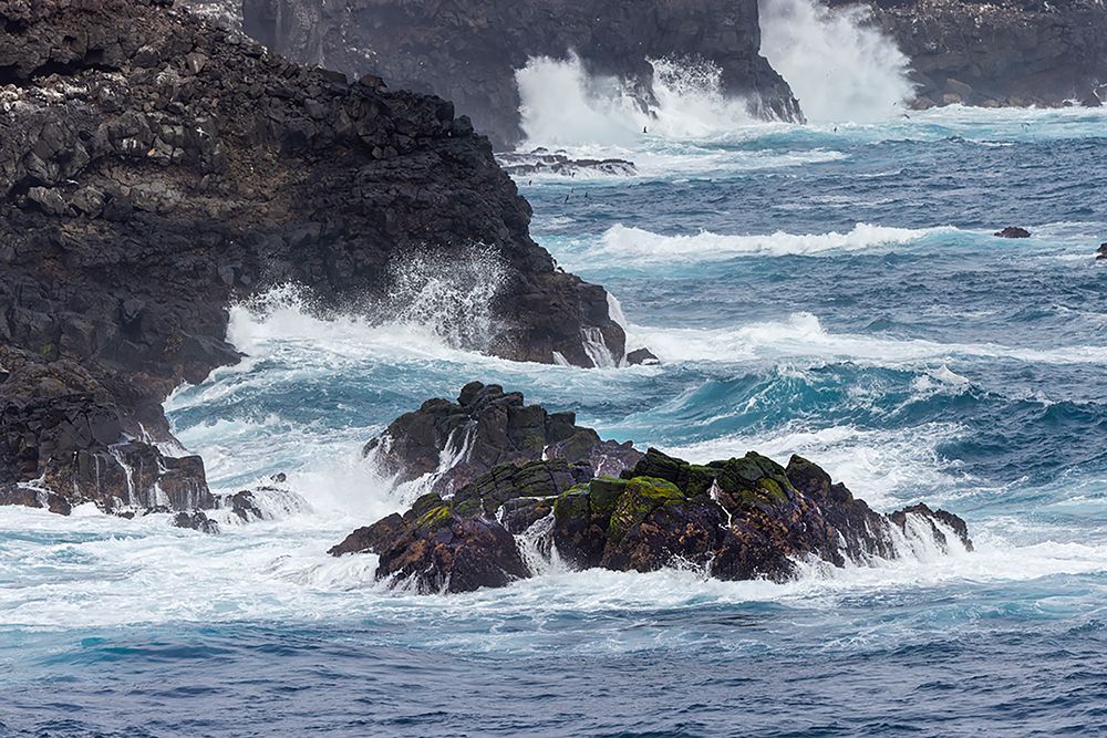 Waves crashing over lava rocks on shoreline of Espanola Island-Galapagos Islands-Ecuador art print by Adam Jones for $57.95 CAD