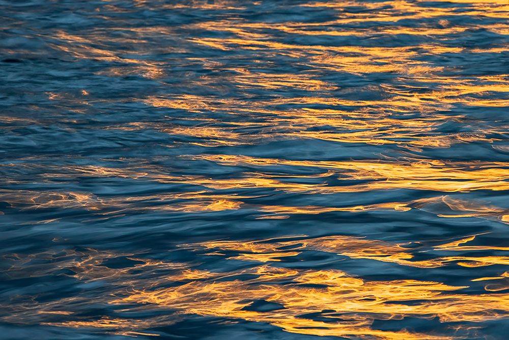 Sunset light on waters off Santa Cruz Island-Galapagos Islands-Ecuador art print by Adam Jones for $57.95 CAD