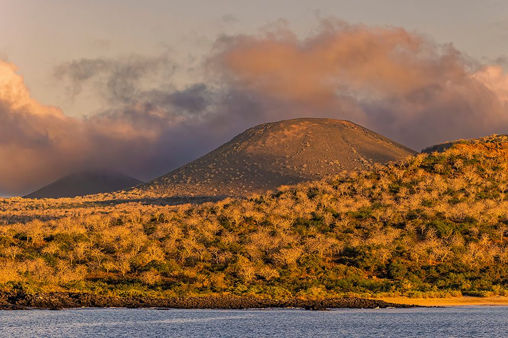 Santiago Island-Galapagos Islands-Ecuador art print by Adam Jones for $57.95 CAD