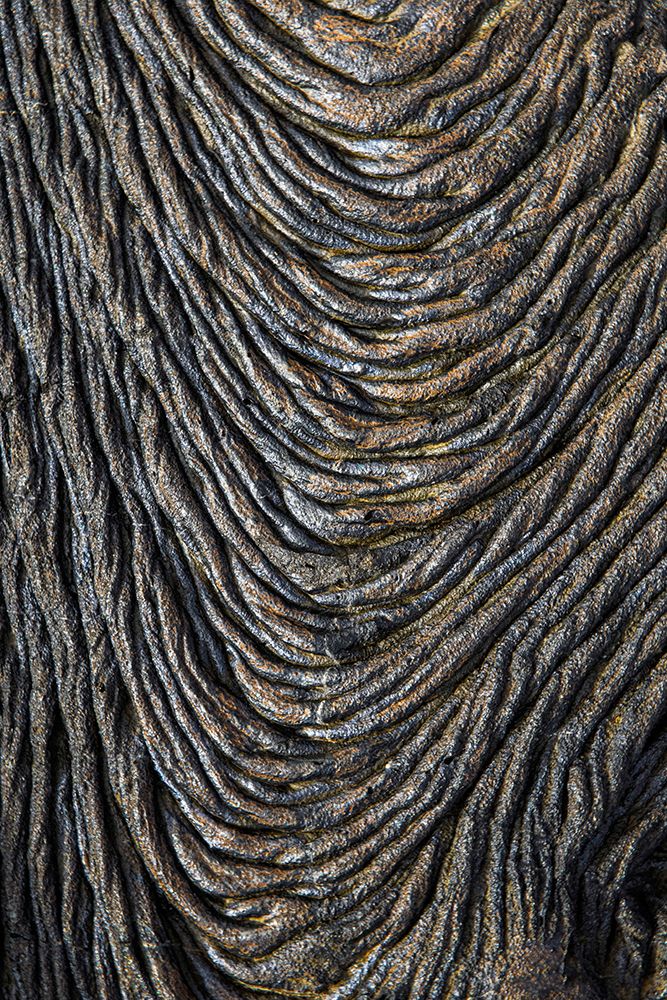 Recent Pahoehoe lava flow-Sullivan Bay-Santiago Island-Galapagos Islands-Ecuador art print by Adam Jones for $57.95 CAD