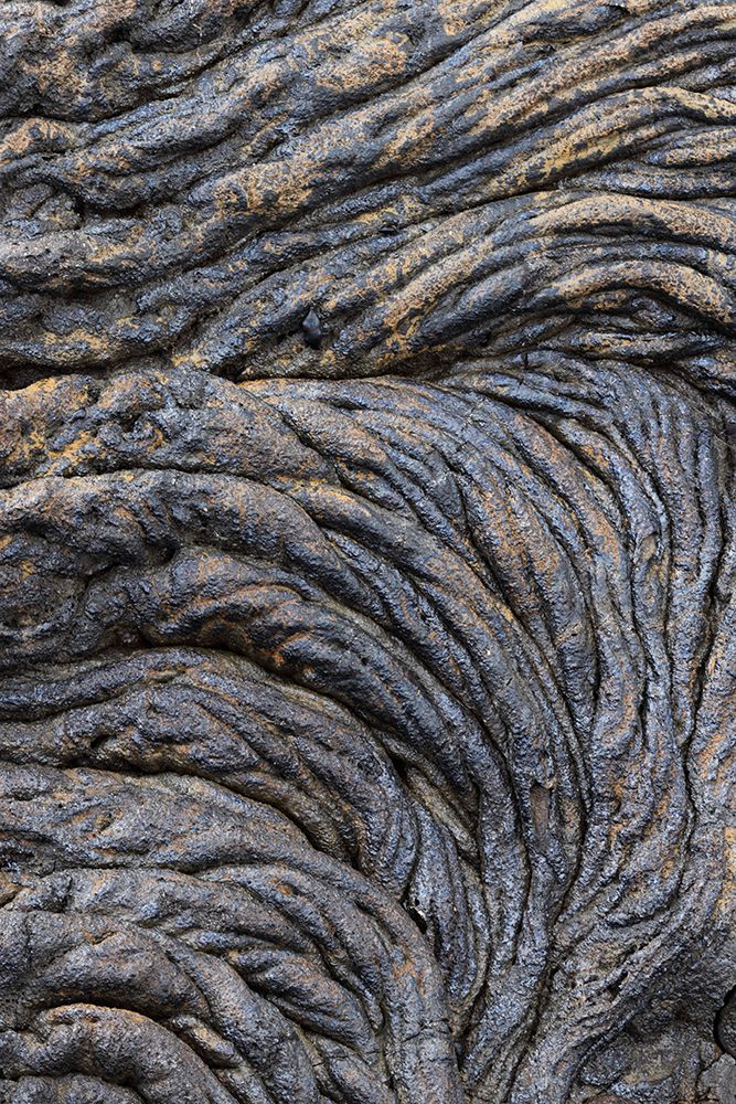 Recent Pahoehoe lava flow-Sullivan Bay-Santiago Island-Galapagos Islands-Ecuador art print by Adam Jones for $57.95 CAD