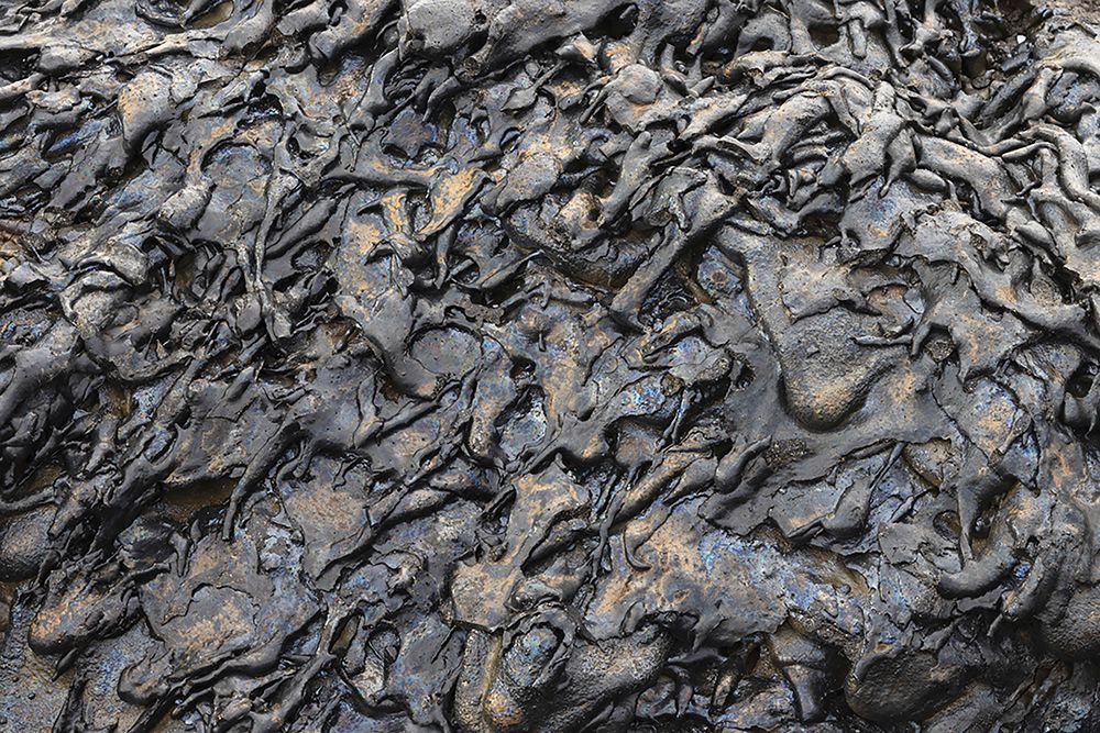Recent Pahoehoe lava flow-Sullivan Bay-Santiago Island-Galapagos Islands-Ecuador art print by Adam Jones for $57.95 CAD