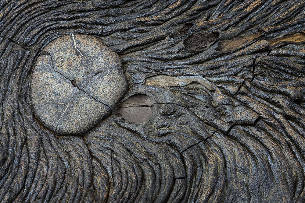 Recent Pahoehoe lava flow-Sullivan Bay-Santiago Island-Galapagos Islands-Ecuador art print by Adam Jones for $57.95 CAD