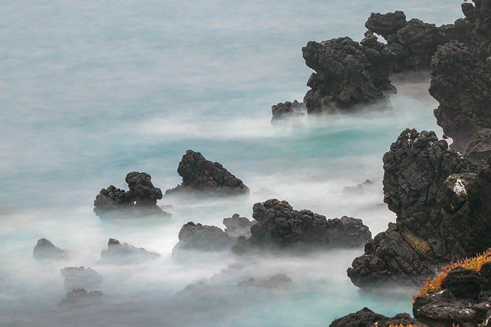Rocky shoreline of South Plaza Island-Galapagos Islands-Ecuador art print by Adam Jones for $57.95 CAD