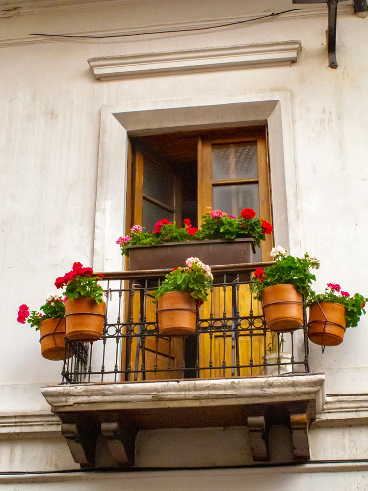 Ecuador-Quito. La Ronda neighborhood scenic of flower pots in window. art print by Jaynes Gallery for $57.95 CAD