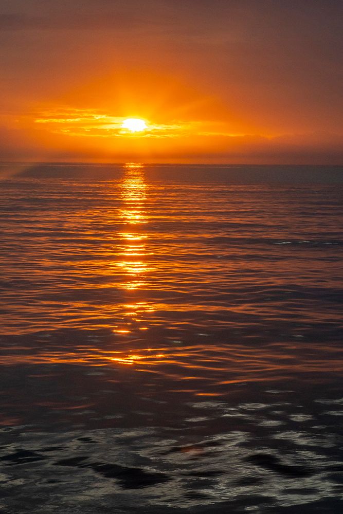 Ecuador-Galapagos National Park-Floreana Island. Ocean sunset. art print by Jaynes Gallery for $57.95 CAD