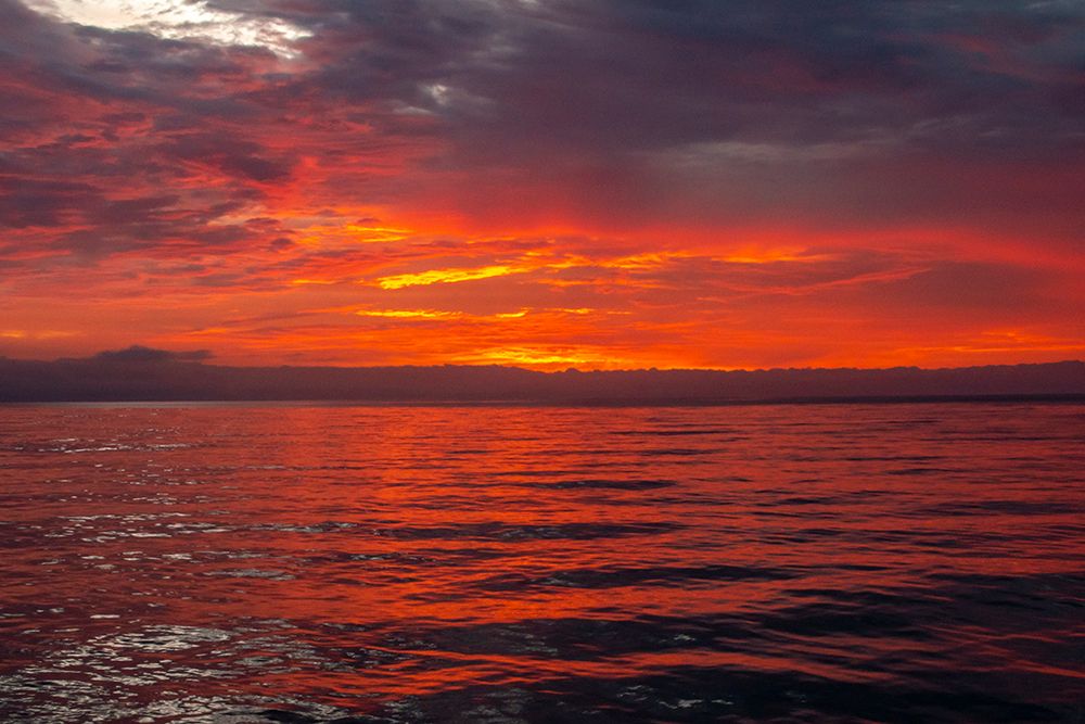 Ecuador-Galapagos National Park-Floreana Island. Ocean sunset. art print by Jaynes Gallery for $57.95 CAD