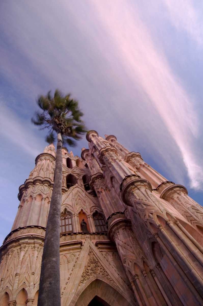 Mexico, The Parroquia Church and Palm Tree art print by Nancy Rotenberg for $57.95 CAD
