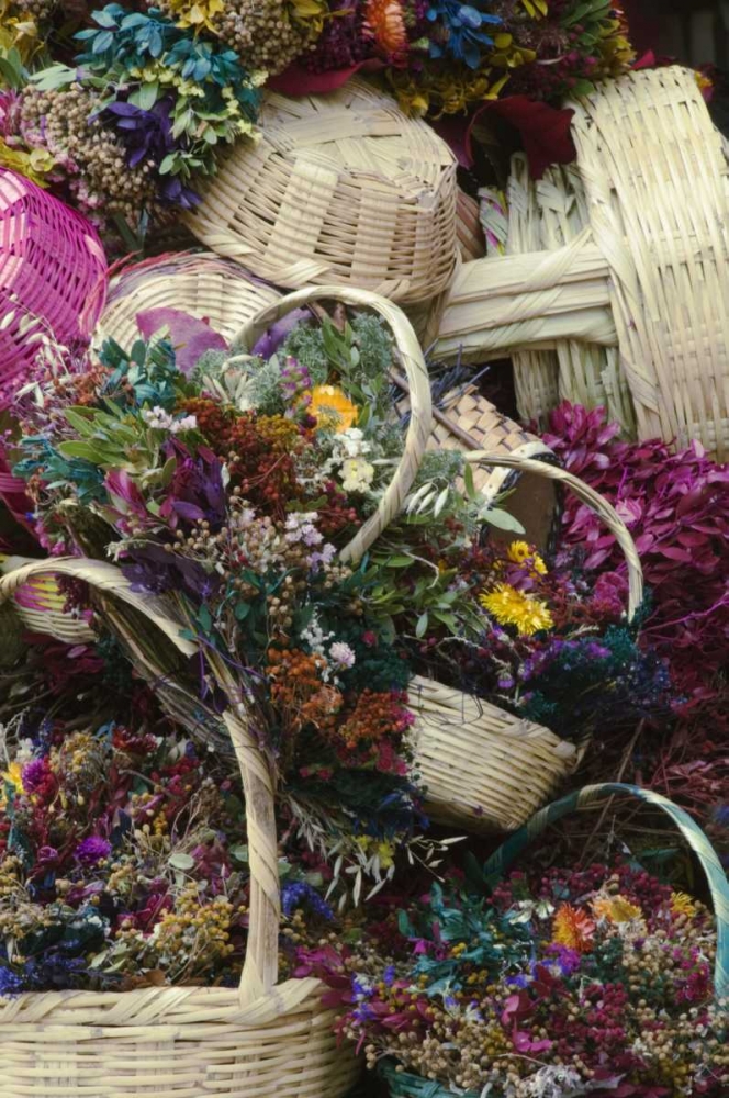 Mexico, Dried Flowers at Outdoor Market art print by Nancy Rotenberg for $57.95 CAD