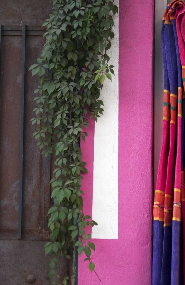 Mexico, Puerto Vallarta Serape hanging by a wall art print by Nancy, Steve Ross for $57.95 CAD