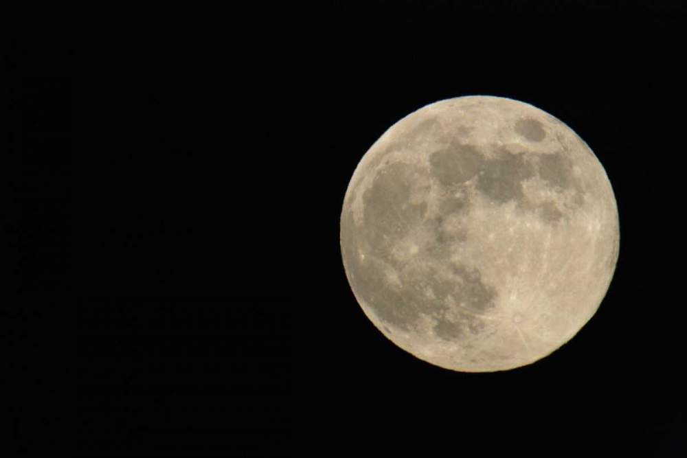 Full moon with yellowish hue to right of frame art print by Arthur Morris for $57.95 CAD