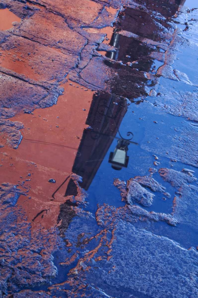 Mexico Street water puddle with lamp reflection art print by Nancy Rotenberg for $57.95 CAD