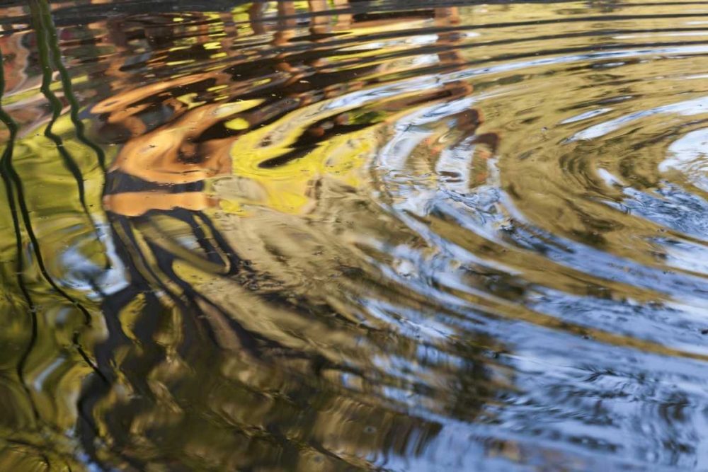 Mexico, Tecate Ripples in pool art print by Don Paulson for $57.95 CAD
